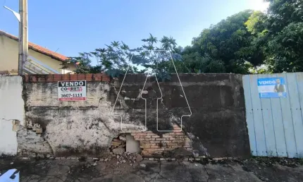 Terreno com testada de 13m de frente, murado, próximo a emissora tvi
