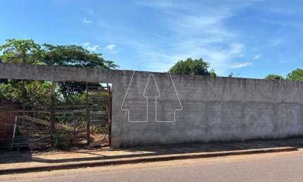 Terreno comercial para alugar no Petit-Trianon, Araçatuba 