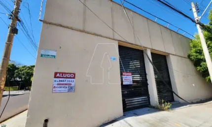Casa comercial para alugar no São João, Araçatuba 