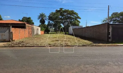 Terreno à venda no Petit-Trianon, Araçatuba 