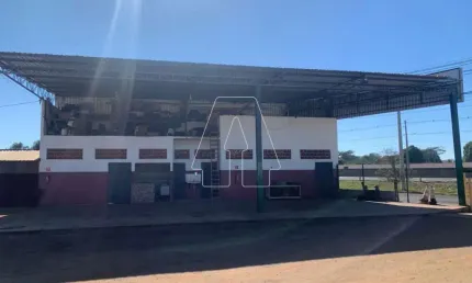 Casa comercial para alugar no São José, Araçatuba 