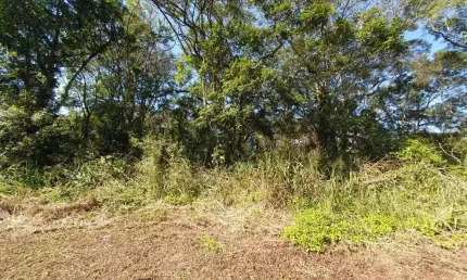 Terreno à venda na Rua Jurité, Santa Terezinha, Itapoá