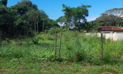 Terreno à venda na Rua Maricá, Jardim Ipitangas, Saquarema