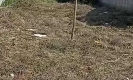 Terreno à venda em Bacaxá, Saquarema 