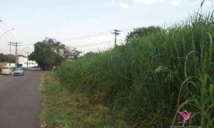Terreno à venda, 500 m² por R$ 400.000 - Barra Funda - Leme/SP