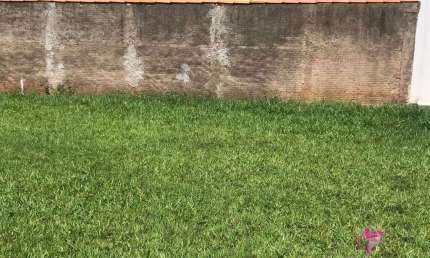 Terreno à venda, 133 m² por R$ 115.000 - Cidade Jardim - Leme/SP