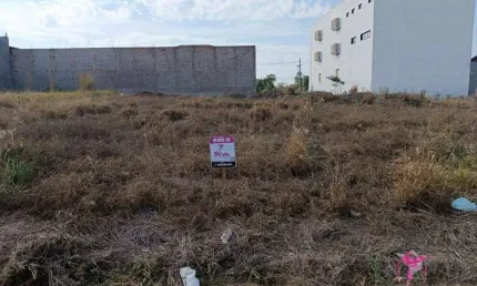 Terreno à venda, 490 m² por r$ 270.000,00 - parque alto das palmeiras - leme/sp