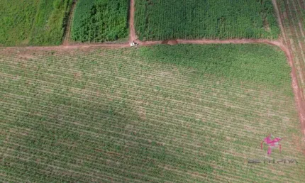Terreno à venda, 4340 m² por R$ 300.000,00 - Área Rural - Pirassununga/SP