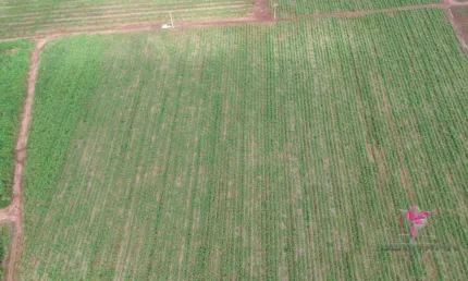 Terreno à venda, 4980 m² por r$ 300.000,00 - área rural - pirassununga/sp