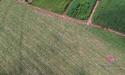 Terreno à venda, 5002 m² por R$ 300.000,00 - Área Rural - Pirassununga/SP