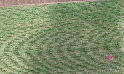 Terreno à venda, 5004 m² por R$ 300.000,00 - Área Rural - Pirassununga/SP