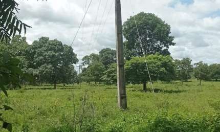 Chácara / sítio à venda na Avenida Brasília, Zona Rural, Britânia