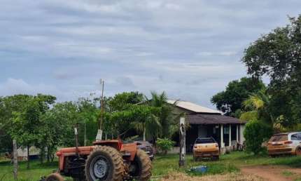 Chácara / sítio com 3 quartos à venda na Zona Rural, Campo Verde 