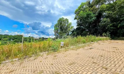 Terreno à venda na Ac. São Vendelino, 00, Faria Lemos (Distrito), Bento Gonçalves