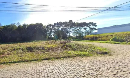 Terreno à venda na rua osvaldo sacchet, 960, nossa senhora das graças, caxias do sul, 532 m2 por r$ 350.000