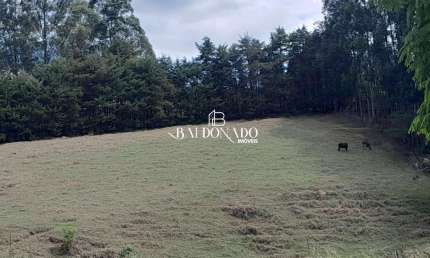TERRENO EM CAMANDUCAIA MG 6.000MTS R$ 395MIL AGUA MINA