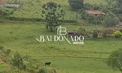 TERRENO RURAL EM ITAPEVA MG 2.816 METROS R$ 159MIL EXCELENTE