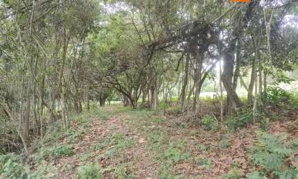 Chácara / sítio à venda na Área Rural de Conselheiro Lafaiete, Conselheiro Lafaiete , 100 m2 por R$ 460.000