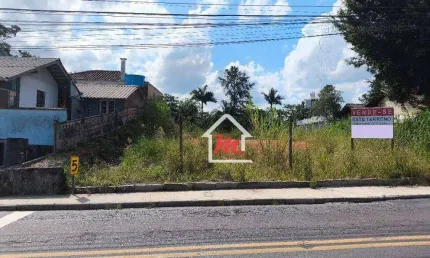 Deseja um lugar especial para construir sua casa ou ponto comercial dos seus sonhos?  Então venha conhecer esse excelente terreno na Velha.