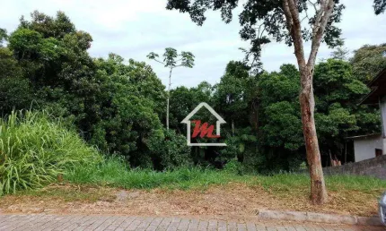 Terreno à venda, 361 m² por r$ 158.000,00 - ribeirão das pedras - indaial/sc