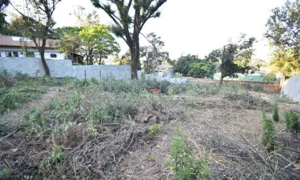 Terreno comercial para alugar na Rua dos Alcatrazes, 250, Jardim Atlântico, Belo Horizonte por R$ 3.800