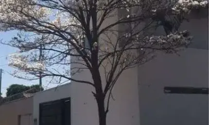 Casa com 4 quartos à venda na Rua das Graças, 1, Jardim Buriti Sereno, Aparecida de Goiânia