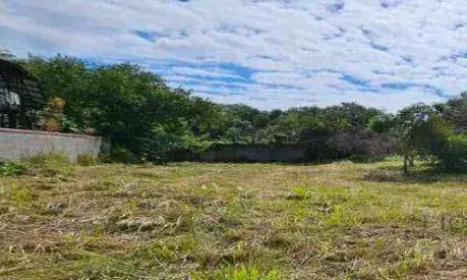 Terreno à venda, 2017 m² por R$ 3.900.000,00 - Cachoeira do Bom Jesus - Florianópolis/SC