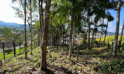 Terreno à venda em Guabiruba-SC, bairro Aimoré, com 6.916,50 m² de área! Venha conferir!