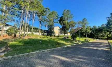 Terreno à venda na rua intendente antônio damasco, 2430, ratones, florianópolis por r$ 599.000