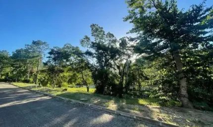 Terreno à venda na rua intendente antônio damasco, 2430, ratones, florianópolis por r$ 599.000