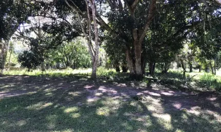 Terreno em condomínio fechado à venda na Rua Intendente Antônio Damasco, 4687, Ratones, Florianópolis por R$ 1.550.000