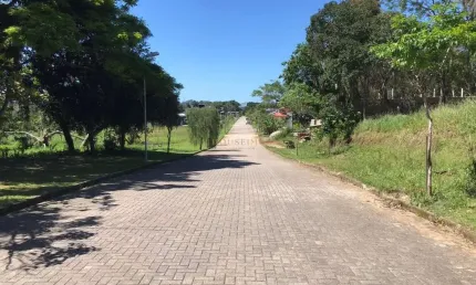 Terreno em condomínio fechado à venda na rua intendente antônio damasco, 4687, ratones, florianópolis por r$ 1.450.000