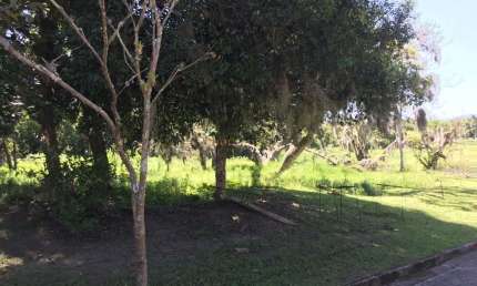 Terreno em condomínio fechado à venda na Rua Intendente Antônio Damasco, 4687, Ratones, Florianópolis por R$ 1.450.000