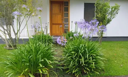 Casa em condomínio fechado com 2 quartos à venda na Rulivan Gracie, 69, Sul do Rio, Santo Amaro da Imperatriz por R$ 900.000