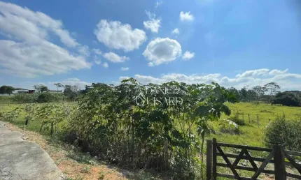 Área à venda, 11213 m² por R$ 10.091.700,00 - Pinhão - Taubaté/SP