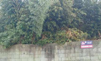 Terreno à venda, 528 m² por R$ 200.000,00 - Jardim Petrópolis (Santa Luzia) - Ribeirão Pires/SP