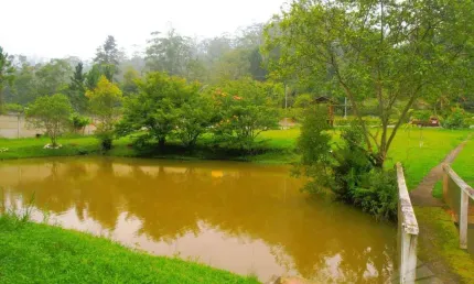 Chácara com 2 dormitórios à venda, 4250 m² por R$ 800.000,00 - Sítio Casa Vermelha (Ouro Fino Paulista) - Ribeirão Pires/SP