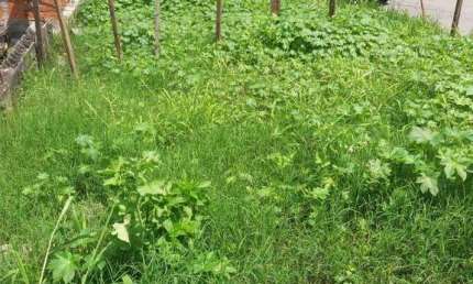 Terreno à venda, 215 m² por R$ 290.000,00 - Parque das Américas - Mauá/SP
