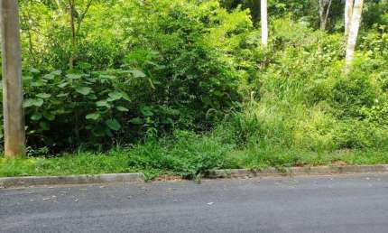 Terreno para Venda em Santana de Parnaíba, Residencial Santa Helena - Gleba Ii