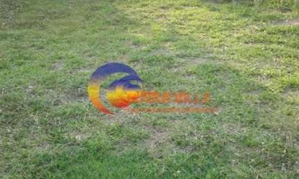 Terreno para Venda em Santana De Parnaíba, Jardim Professor Benoá, 3 dormitórios, 4 vagas