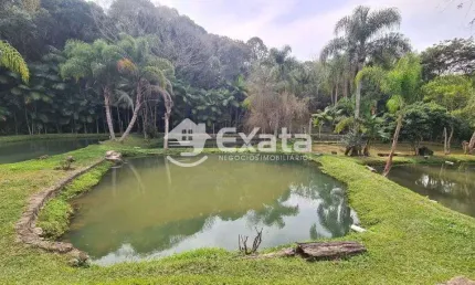 Chácara / sítio com 3 quartos à venda na Estrada Vicinal Giacomo Bassi, 110, Centro, Piedade