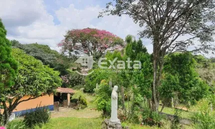 Chácara / sítio com 5 quartos à venda na Rua Doze, 200, Centro, Piedade