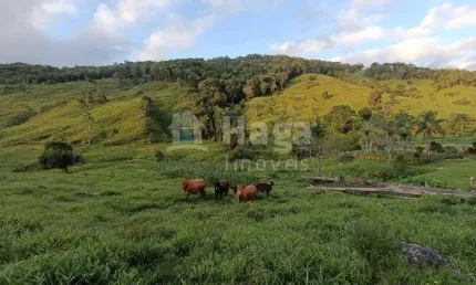 Chácara / sítio com 2 quartos à venda na Barra Clara, Angelina 