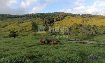 Fazenda à venda na Barra Clara, Angelina 