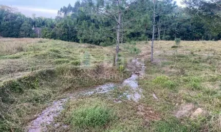 Fazenda à venda em Claraíba, Nova Trento 