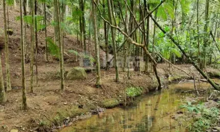 Fazenda à venda em Claraíba, Nova Trento 