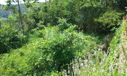 Terreno à venda no Azambuja, Brusque 