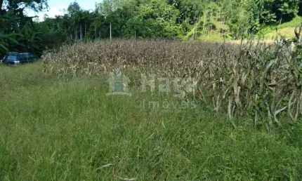 Terreno plano à venda no bairro São Pedro em Guabiruba/SC