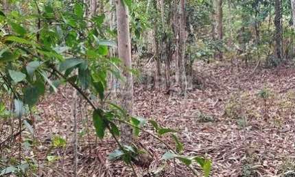 Terreno rural para sítio/chácara à venda em São João Batista/SC