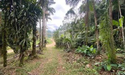 Fazenda à venda em Claraíba, Nova Trento 